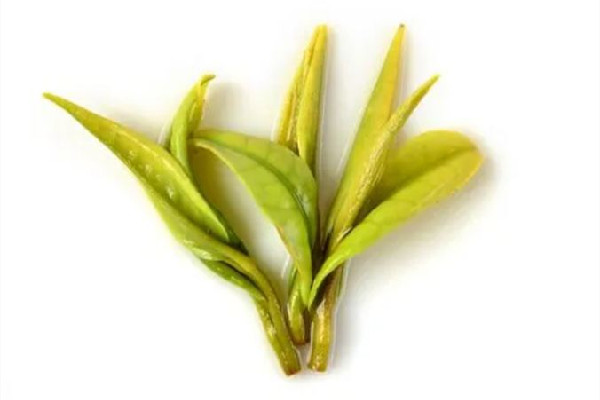 安吉白茶喝新茶好還是老茶好 安吉白茶什么樣的好喝 安吉白茶喝新茶好還是老茶好 安吉白茶什么樣的好喝
