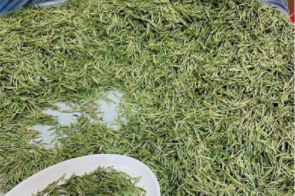安吉白茶怎么辨別檔次 安吉白茶屬于什么檔次 安吉白茶怎么辨別檔次 安吉白茶屬于什么檔次