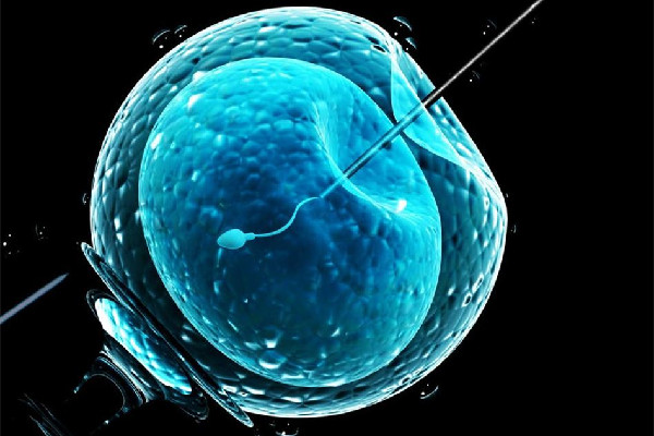 女員工請(qǐng)假做試管嬰兒被拒遭辭退 試管嬰兒有年齡限制嗎 女員工請(qǐng)假做試管嬰兒被拒遭辭退 試管嬰兒有年齡限制嗎