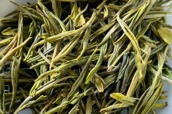 安吉白茶屬于哪類茶 安吉白茶是白茶嗎 安吉白茶屬于哪類茶 安吉白茶是白茶嗎