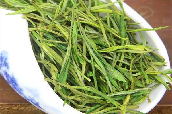 安吉白茶喝新茶好還是老茶好 安吉白茶什么樣的好喝 安吉白茶喝新茶好還是老茶好 安吉白茶什么樣的好喝