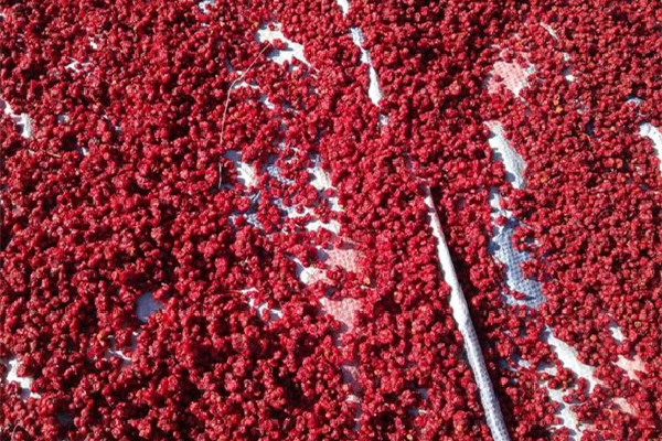 五味子一次用多少克 五味子泡水喝的正確方法 五味子一次用多少克 五味子泡水喝的正確方法