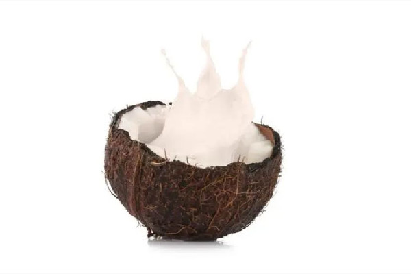 椰奶熱量高嗎 椰奶適合減肥喝嗎 椰奶熱量高嗎 椰奶適合減肥喝嗎