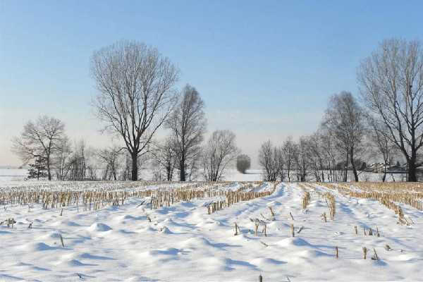 今年以來(lái)最大范圍雨雪來(lái)襲 雨雪天氣會(huì)影響飛機(jī)起飛嗎 今年以來(lái)最大范圍雨雪來(lái)襲 雨雪天氣會(huì)影響飛機(jī)起飛嗎