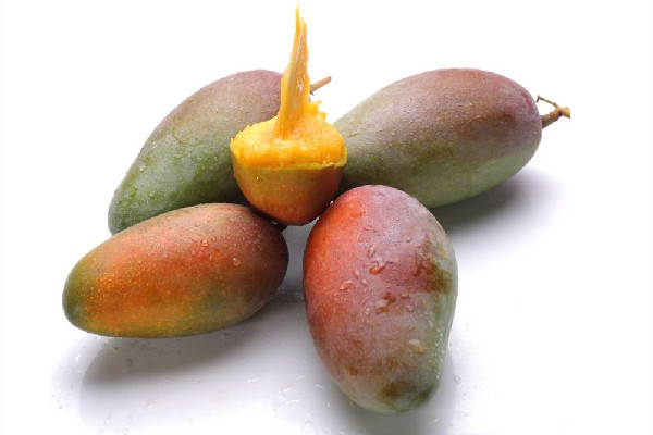 芒果怎么催熟最快方法 芒果催熟要幾天 芒果怎么催熟最快方法 芒果催熟要幾天