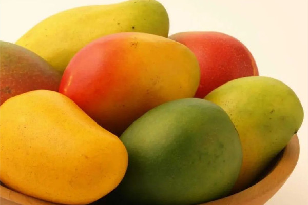 芒果怎么催熟最快方法 芒果催熟要幾天 芒果怎么催熟最快方法 芒果催熟要幾天