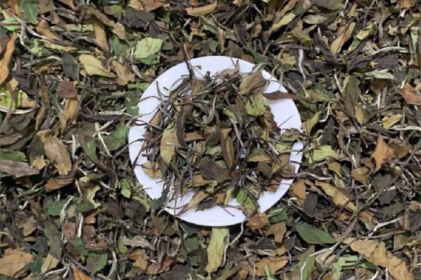 貢眉白茶是涼性還是熱性 貢眉白茶上火嗎 貢眉白茶是涼性還是熱性 貢眉白茶上火嗎