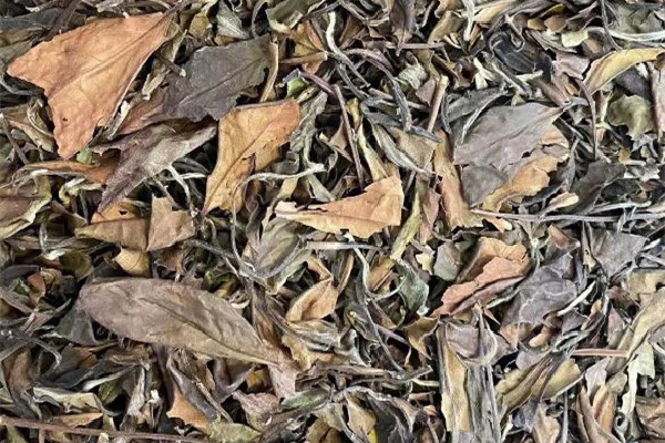 貢眉白茶用多少度的水沖泡 貢眉白茶怎樣沖泡 貢眉白茶用多少度的水沖泡 貢眉白茶怎樣沖泡