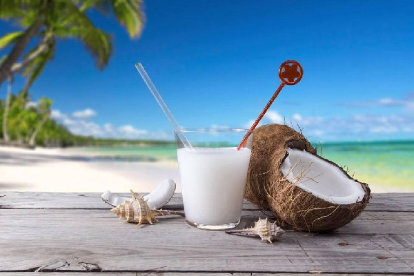 椰汁是上火的還是降火的 椰汁適合什么人群喝 椰汁是上火的還是降火的 椰汁適合什么人群喝