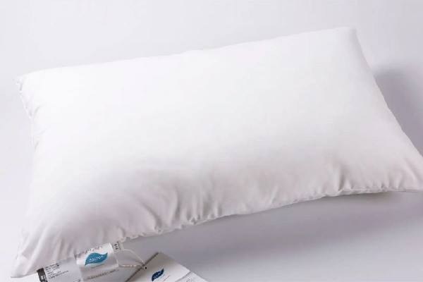 羽絨枕頭用什么枕套 羽絨枕頭怎么保養(yǎng) 羽絨枕頭用什么枕套 羽絨枕頭怎么保養(yǎng)