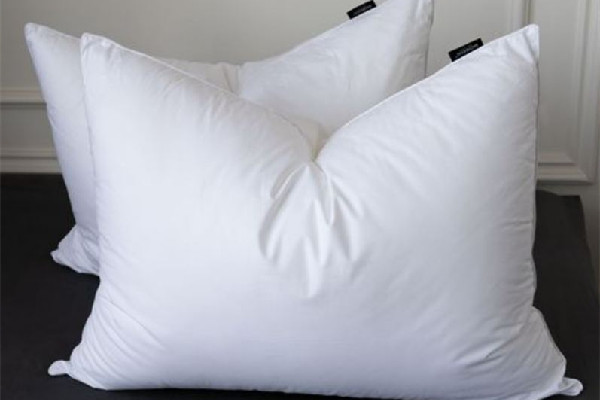 羽絨枕頭一般充多少羽絨 羽絨枕頭要多少克羽絨 羽絨枕頭一般充多少羽絨 羽絨枕頭要多少克羽絨