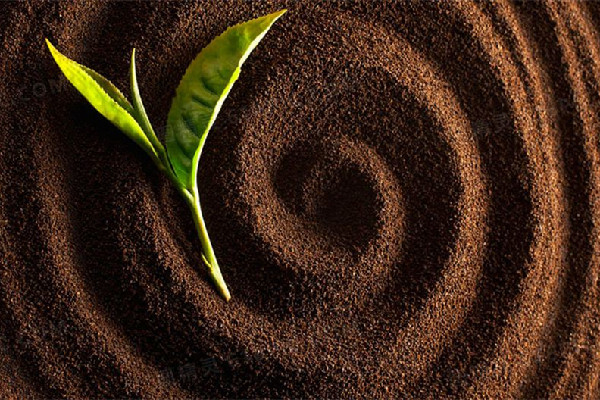 咖啡粉要壓實(shí)到什么程度 咖啡粉為什么要壓一下 咖啡粉要壓實(shí)到什么程度 咖啡粉為什么要壓一下