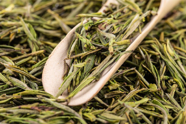 茶農(nóng)稱赤腳踩茶葉是傳統(tǒng)工藝 茶葉是怎么制作出來的 茶農(nóng)稱赤腳踩茶葉是傳統(tǒng)工藝 茶葉是怎么制作出來的