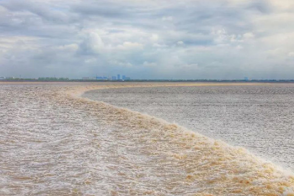 3人觀潮剛被勸離潮水涌來 觀潮什么時候最好 3人觀潮剛被勸離潮水涌來 觀潮什么時候最好
