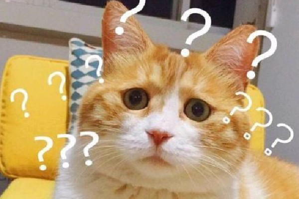 成都草莓音樂節(jié)一男子對警察豎中指 豎中指的含義是什么意思 成都草莓音樂節(jié)一男子對警察豎中指 豎中指的含義是什么意思