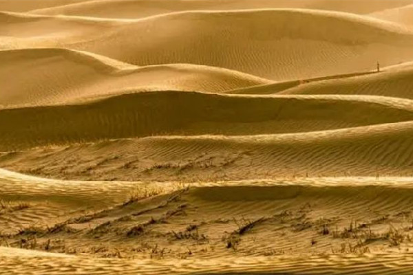 沙塵暴從何而來造林防沙效果如何 沙塵暴會(huì)持續(xù)多久