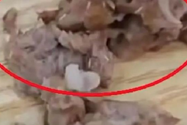 女子稱吃黃燜排骨發(fā)現(xiàn)滿嘴是蛆 黃燜排骨的做法和配料 女子稱吃黃燜排骨發(fā)現(xiàn)滿嘴是蛆 黃燜排骨的做法和配料