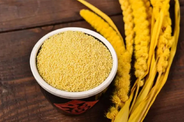 小米和大米哪個有營養(yǎng) 小米和大米哪個升糖指數(shù)高 小米和大米哪個有營養(yǎng) 小米和大米哪個升糖指數(shù)高