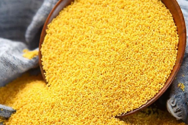 小米和大米哪個有營養(yǎng) 小米和大米哪個升糖指數(shù)高 小米和大米哪個有營養(yǎng) 小米和大米哪個升糖指數(shù)高