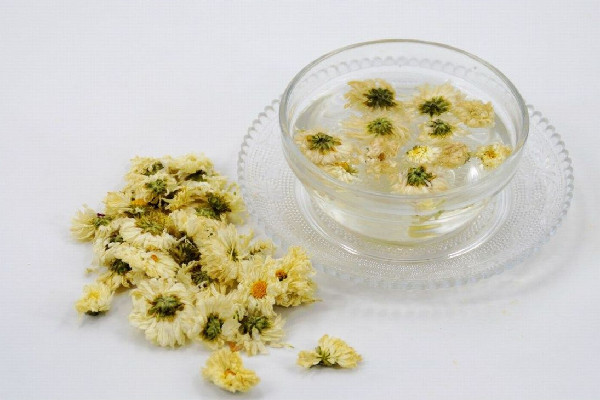 菊花茶對(duì)牙齦腫痛有好處嗎 菊花茶喝多久能見效 菊花茶對(duì)牙齦腫痛有好處嗎 菊花茶喝多久能見效