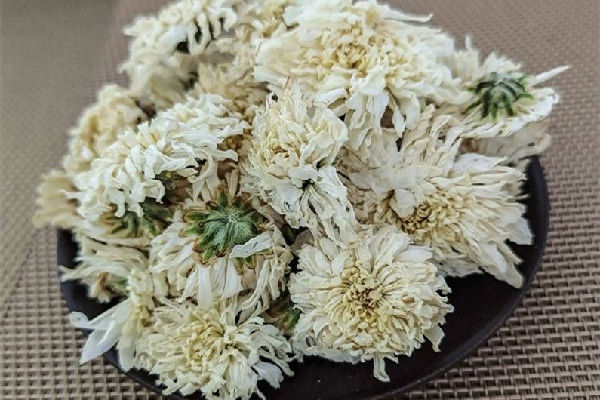 菊花茶喝起來為什么是苦的 菊花茶喝起來什么味道 菊花茶喝起來為什么是苦的 菊花茶喝起來什么味道