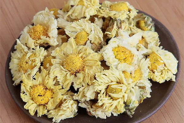 菊花茶買大的好還是小的好 菊花茶買什么牌子好 菊花茶買大的好還是小的好 菊花茶買什么牌子好