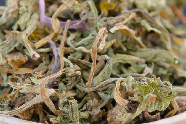 蒲公英茶可以和什么搭配 蒲公英茶和枸杞能一起喝嗎 蒲公英茶可以和什么搭配 蒲公英茶和枸杞能一起喝嗎