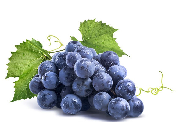 葡萄吃起來(lái)很澀是什么原因 葡萄不甜怎么辦