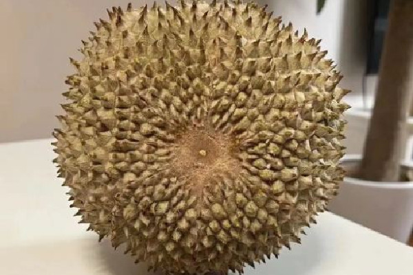 黑刺榴蓮多少錢(qián)一斤 黑刺榴蓮是什么品種 黑刺榴蓮多少錢(qián)一斤 黑刺榴蓮是什么品種