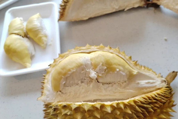 榴蓮買回來硬的怎么放才能熟 榴蓮怎么催熟比較快 榴蓮買回來硬的怎么放才能熟 榴蓮怎么催熟比較快