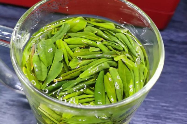 六安瓜片對(duì)身體有什么好處 六安瓜片可以降血壓?jiǎn)? alt=