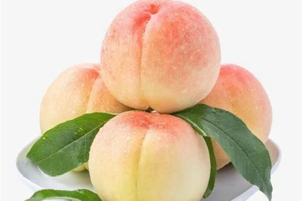 水蜜桃有脆的嗎 水蜜桃吃硬的還是軟的 水蜜桃有脆的嗎 水蜜桃吃硬的還是軟的