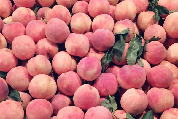 水蜜桃可以和牛奶一起吃嗎 水蜜桃和什么水果最配 水蜜桃可以和牛奶一起吃嗎 水蜜桃和什么水果最配