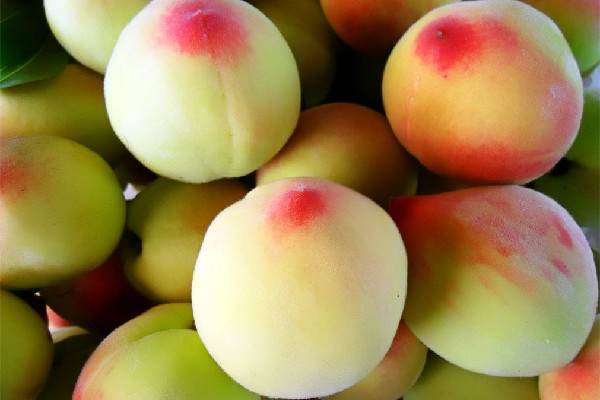 毛桃放幾天會甜 毛桃放冰箱里用洗嗎 毛桃放幾天會甜 毛桃放冰箱里用洗嗎