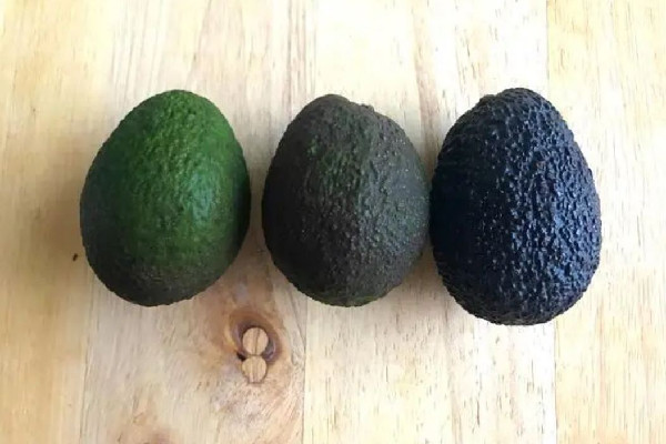 牛油果會拉肚子嗎 牛油果會有油嗎 牛油果會拉肚子嗎 牛油果會有油嗎