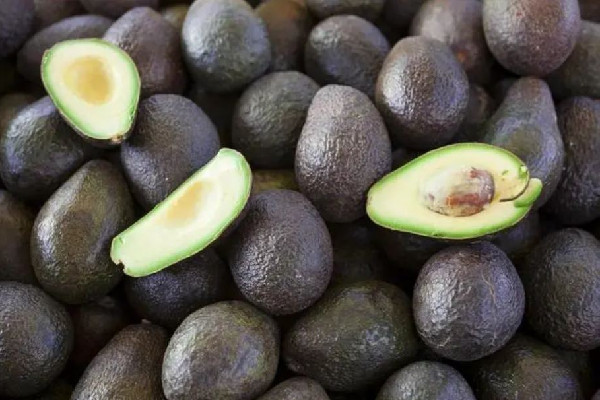 牛油果會拉肚子嗎 牛油果會有油嗎 牛油果會拉肚子嗎 牛油果會有油嗎