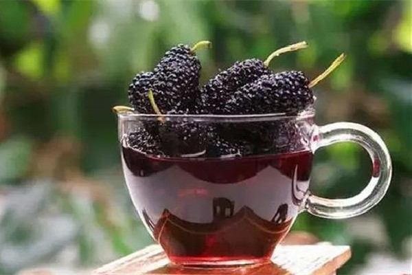 桑葚酒怎么泡好喝 桑葚酒泡多久可以把桑葚取出來(lái) 桑葚酒怎么泡好喝 桑葚酒泡多久可以把桑葚取出來(lái)