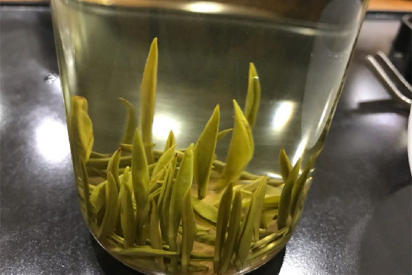 君山銀針可以泡幾次 君山銀針泡多久出湯 君山銀針可以泡幾次 君山銀針泡多久出湯