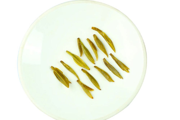 黃茶怎么沖泡 黃茶可以煮著喝嗎 黃茶怎么沖泡 黃茶可以煮著喝嗎